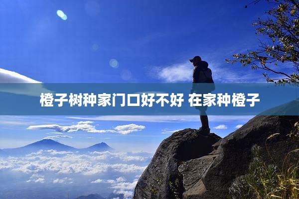 橙子树种家门口好不好 在家种橙子