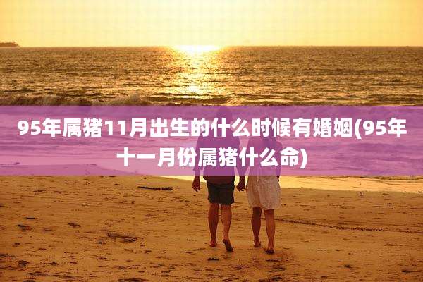 95年属猪11月出生的什么时候有婚姻(95年十一月份属猪什么命)
