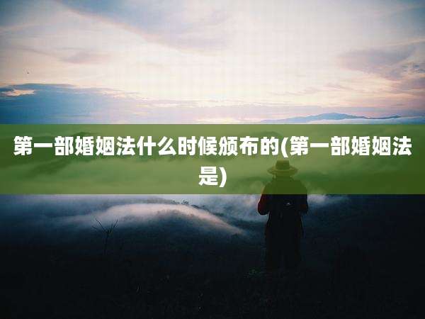 第一部婚姻法什么时候颁布的(第一部婚姻法是)