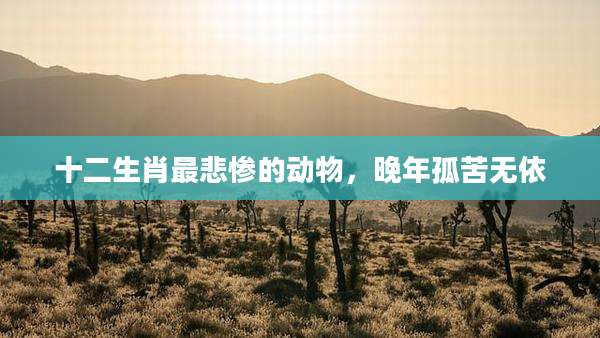 十二生肖最悲惨的动物,晚年孤苦无依