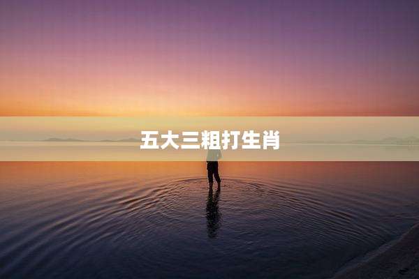 五大三粗打生肖