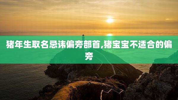 猪年生取名忌讳偏旁部首,猪宝宝不适合的偏旁