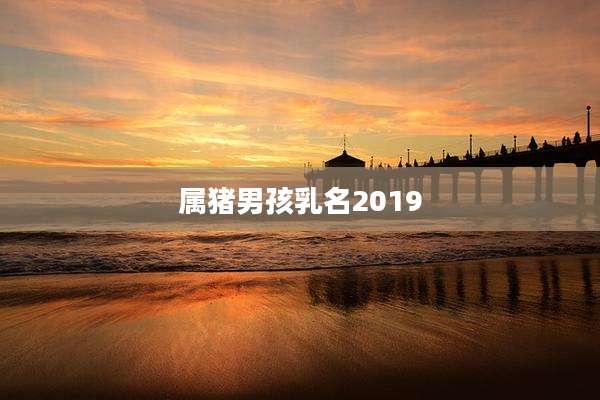属猪男孩乳名2019