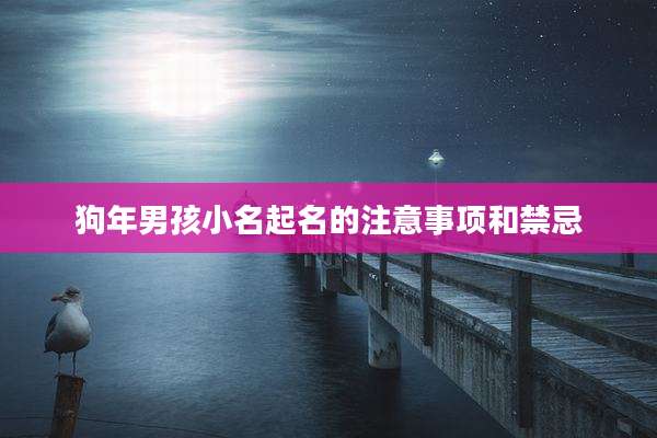 狗年男孩小名起名的注意事项和禁忌