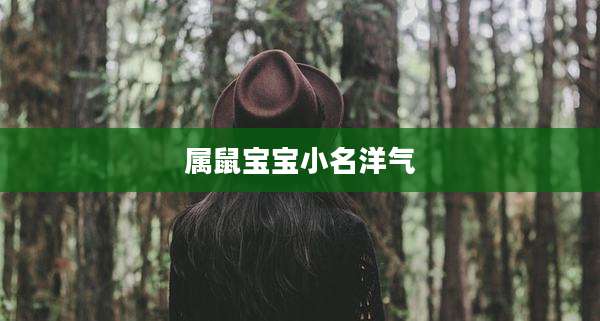 属鼠宝宝小名洋气