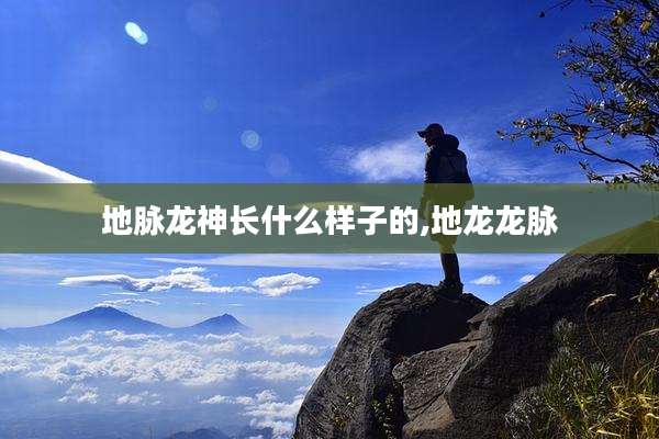 地脉龙神长什么样子的,地龙龙脉