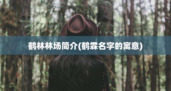 鹤林林场简介(鹤霖名字的寓意)