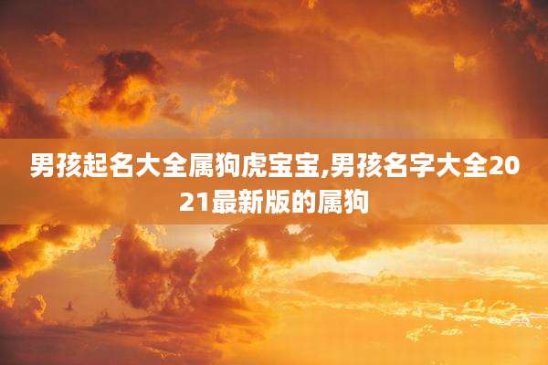 男孩起名大全属狗虎宝宝,男孩名字大全2021最新版的属狗
