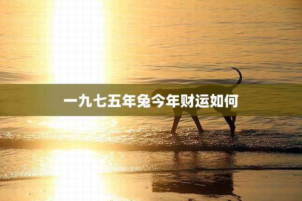 一九七五年兔今年财运如何