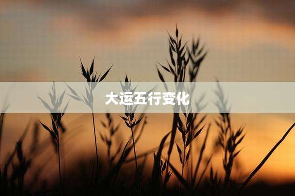 大运五行变化