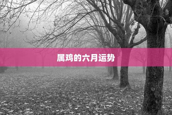属鸡的六月运势