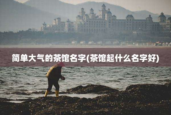 简单大气的茶馆名字(茶馆起什么名字好)