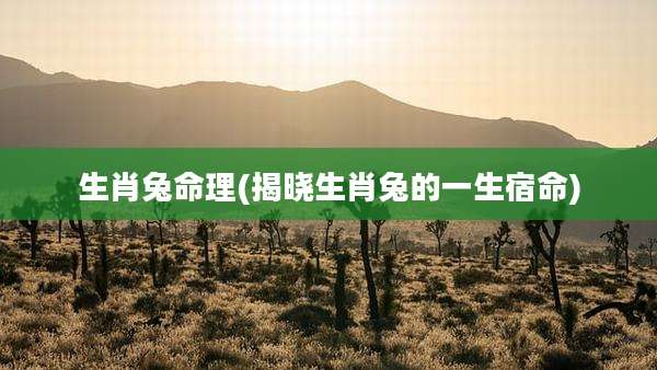 生肖兔命理(揭晓生肖兔的一生宿命)