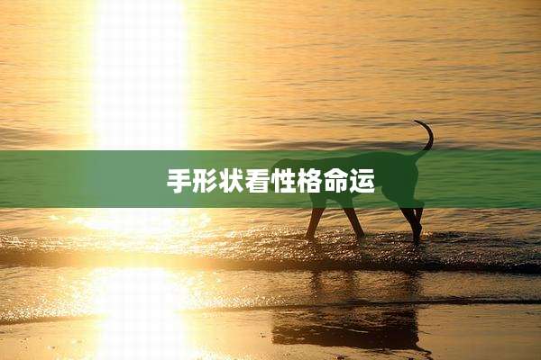 手形状看性格命运