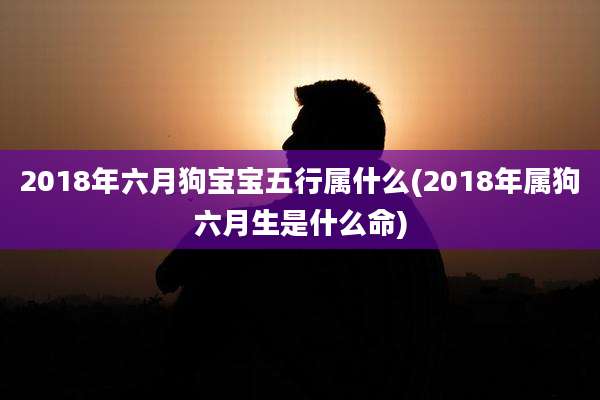 2018年六月狗宝宝五行属什么(2018年属狗六月生是什么命)