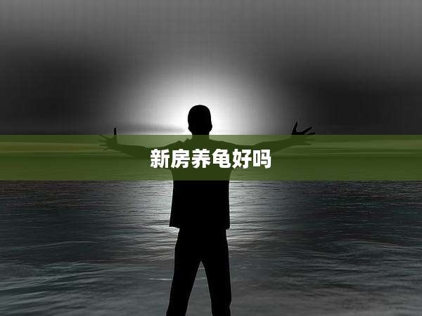 新房养龟好吗