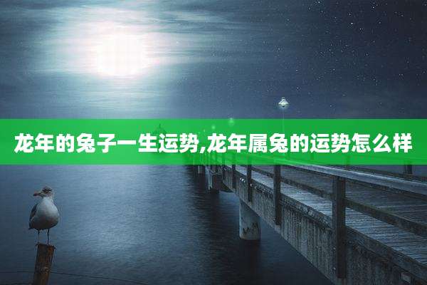 龙年的兔子一生运势,龙年属兔的运势怎么样
