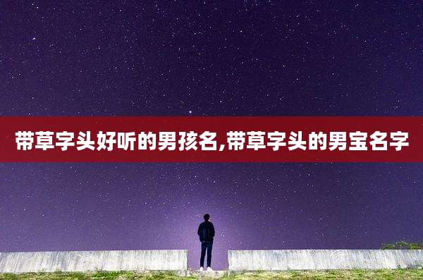 带草字头好听的男孩名,带草字头的男宝名字