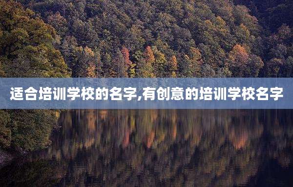 适合培训学校的名字,有创意的培训学校名字