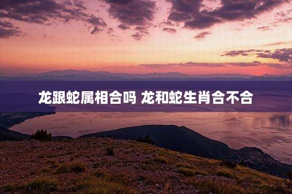 龙跟蛇属相合吗 龙和蛇生肖合不合