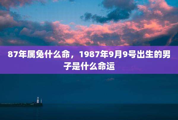 87年属兔什么命，1987年9月9号出生的男子是什么命运