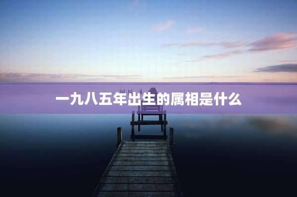 一九八五年出生的属相是什么