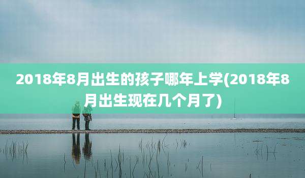 2018年8月出生的孩子哪年上学(2018年8月出生现在几个月了)