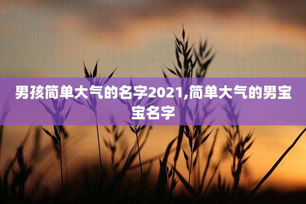 男孩简单大气的名字2021,简单大气的男宝宝名字