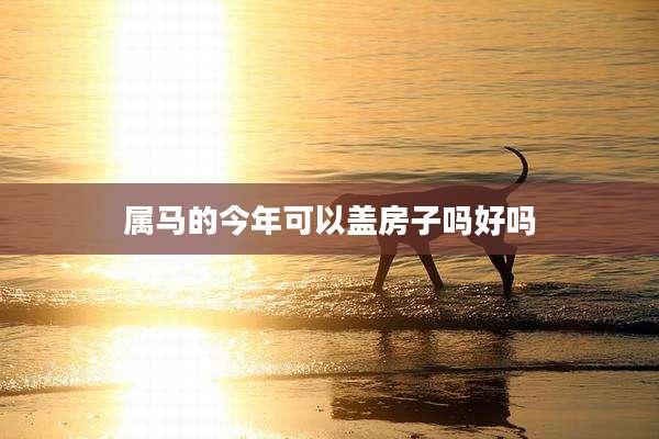 属马的今年可以盖房子吗好吗
