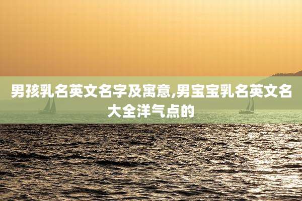 男孩乳名英文名字及寓意,男宝宝乳名英文名大全洋气点的