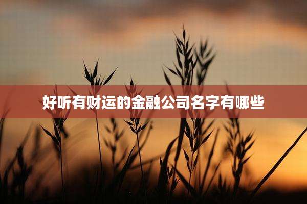 好听有财运的金融公司名字有哪些