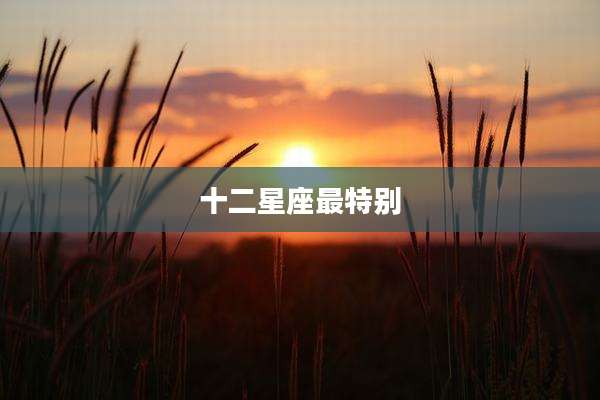十二星座最特别