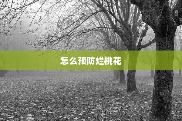 怎么预防烂桃花