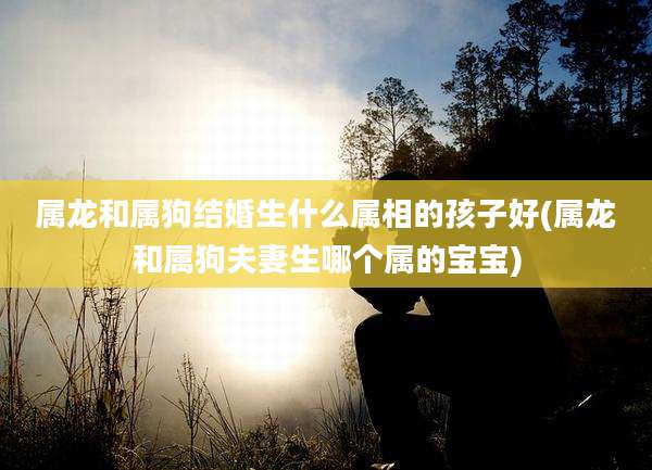 属龙和属狗结婚生什么属相的孩子好(属龙和属狗夫妻生哪个属的宝宝)