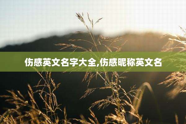 伤感英文名字大全,伤感昵称英文名