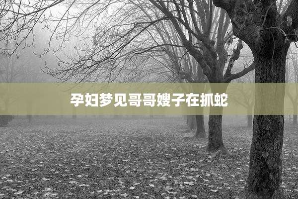 孕妇梦见哥哥嫂子在抓蛇
