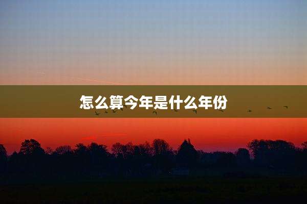 怎么算今年是什么年份