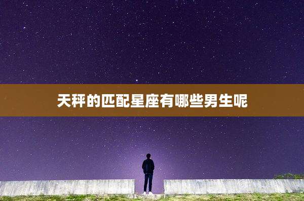 天秤的匹配星座有哪些男生呢