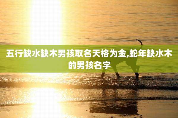 五行缺水缺木男孩取名天格为金,蛇年缺水木的男孩名字