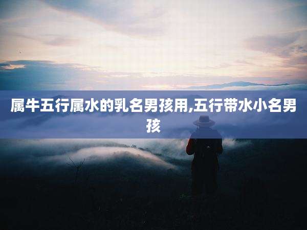 属牛五行属水的乳名男孩用,五行带水小名男孩