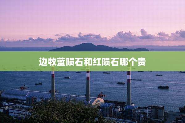 边牧蓝陨石和红陨石哪个贵