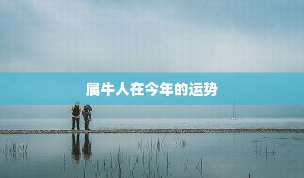 属牛人在今年的运势
