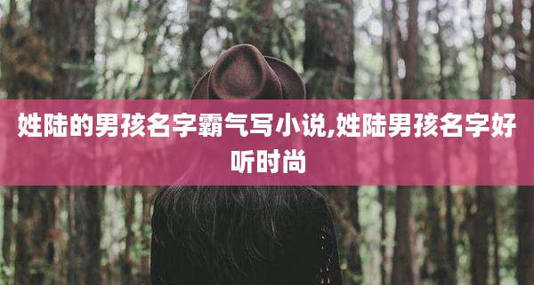 姓陆的男孩名字霸气写小说,姓陆男孩名字好听时尚