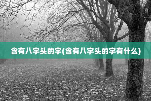 含有八字头的字(含有八字头的字有什么)