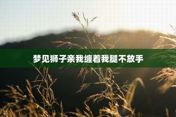 梦见狮子亲我缠着我腿不放手