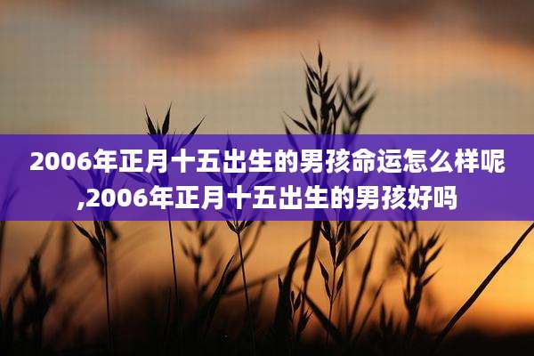 2006年正月十五出生的男孩命运怎么样呢,2006年正月十五出生的男孩好吗