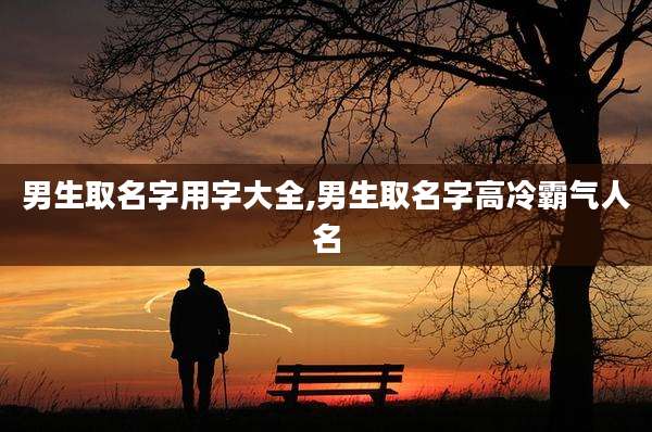 男生取名字用字大全,男生取名字高冷霸气人名