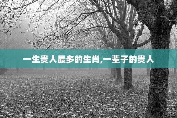 一生贵人最多的生肖,一辈子的贵人