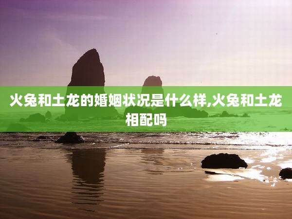 火兔和土龙的婚姻状况是什么样,火兔和土龙相配吗