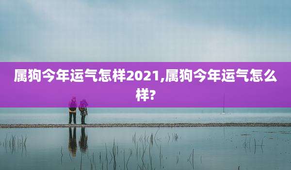 属狗今年运气怎样2021,属狗今年运气怎么样?